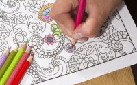 10 Best Colored Pencils for Adult Coloring Books In 2023
