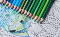 Best Color by Number for Adults In 2022