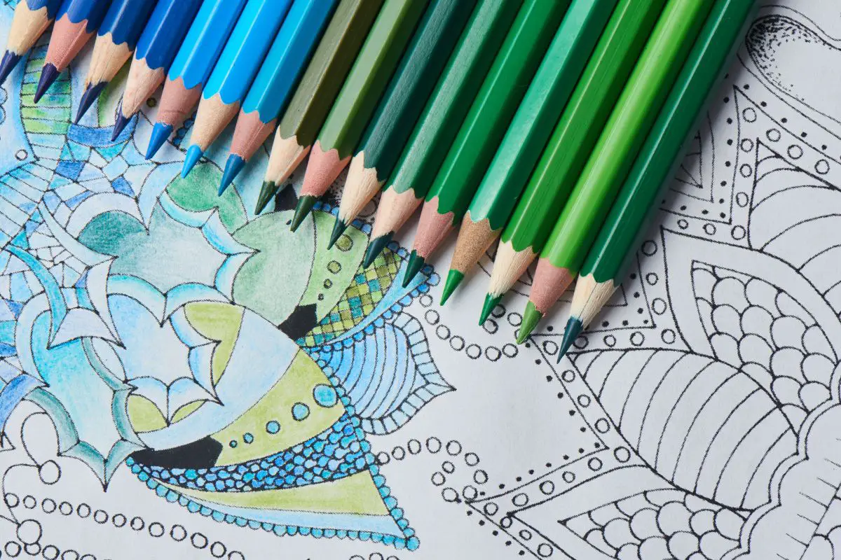 Best Color By Number For Adults In 2022 - Coloring Books For Adults