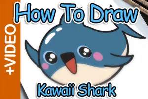 How To Draw A Cute Shark