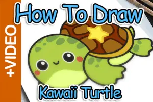 How To Draw A Turtle