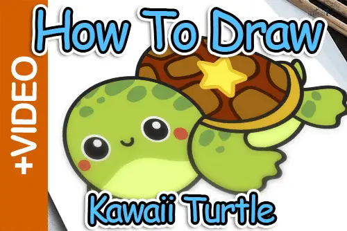 kawaiiturtle-webthumbnail