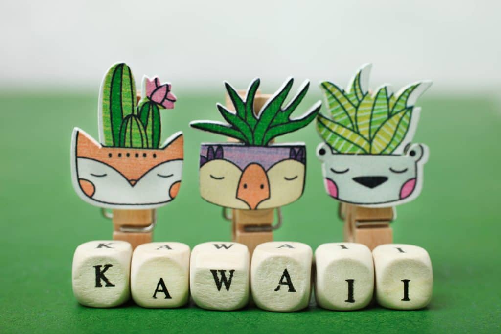 What Is Kawaii - Expression